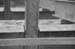 072810_4047